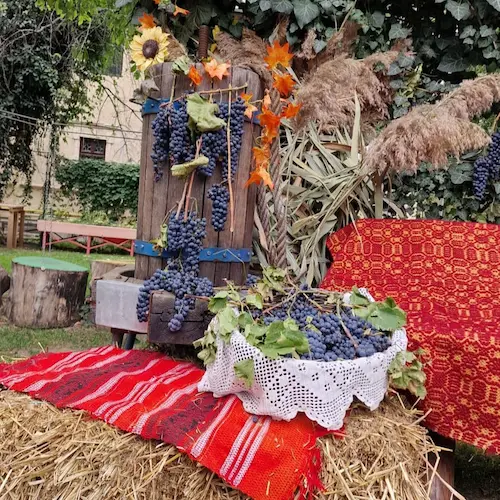 Eveniment de toamnă pentru copii la Hera Kids, cu decor rustic și struguri, în Târgoviște.
